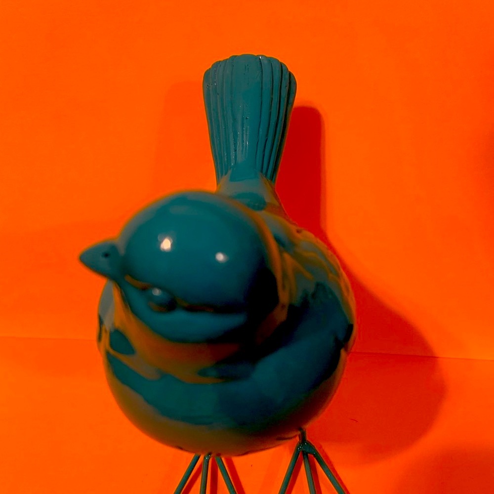 Blue Bird - Picture 5 of 6